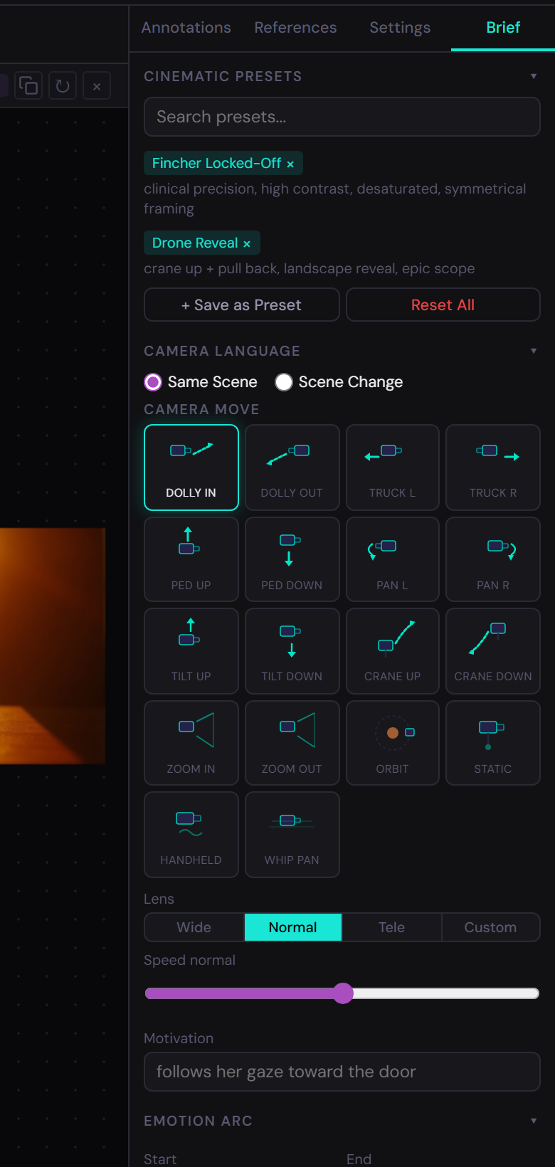 Director's brief panel